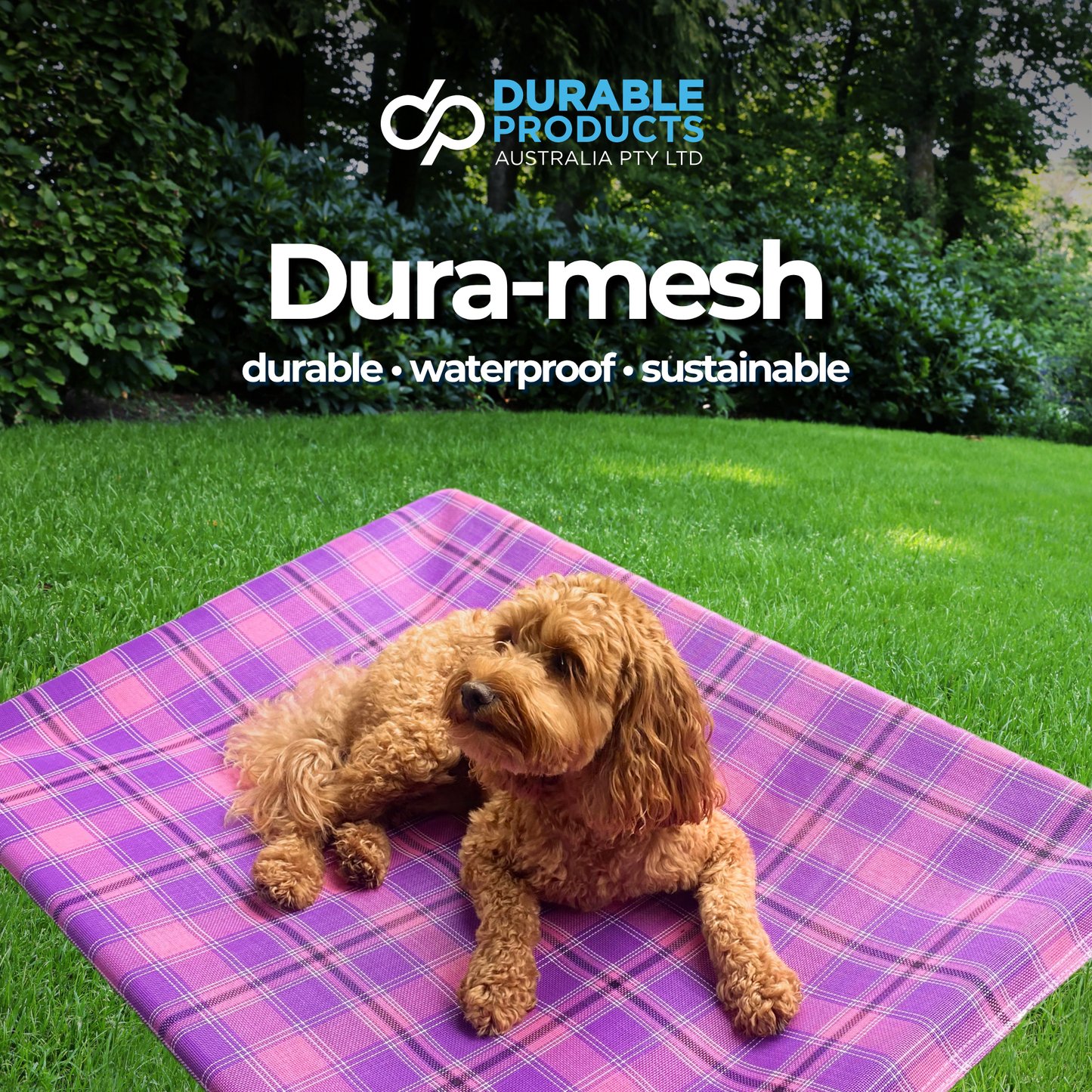 Pet Comfort Bed - The Buddy (Large)