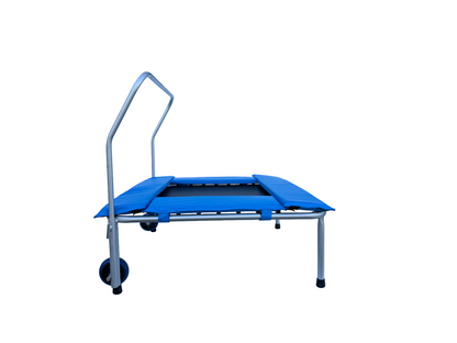 Mini Exercise & Rehab Trampoline
