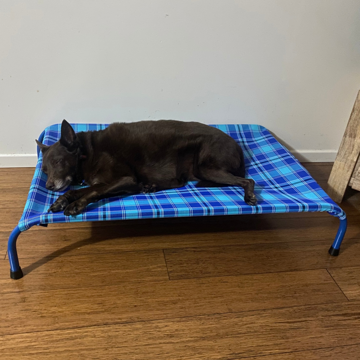 Pet Comfort Bed - The Oakleigh (Medium)